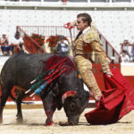 Bayona (Francia) - Novillada picada - Domingo 2 de septiembre de 2018