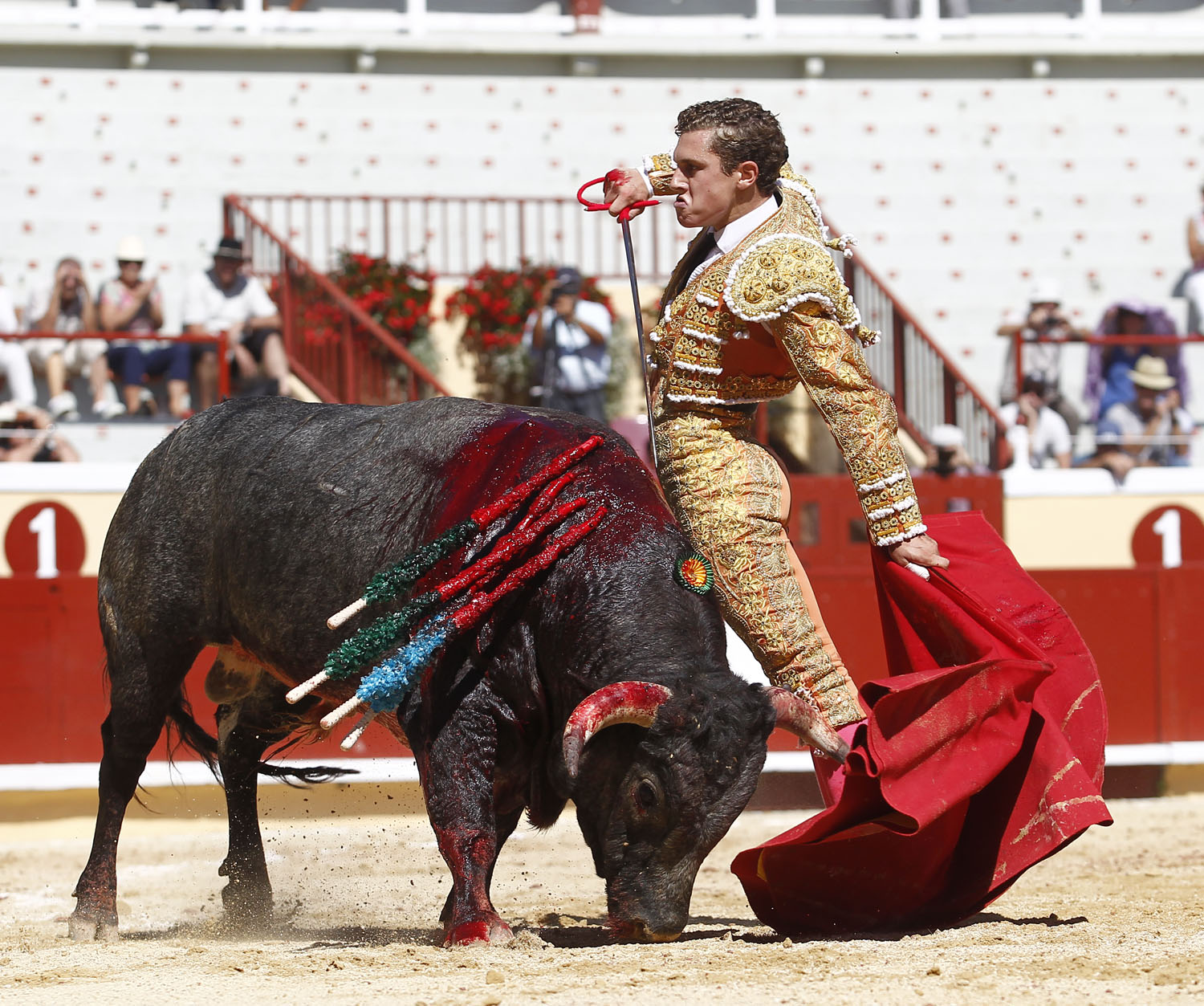 Bayona (Francia) - Novillada picada - Domingo 2 de septiembre de 2018