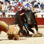 Bayona (Francia) - Novillada picada - Domingo 2 de septiembre de 2018