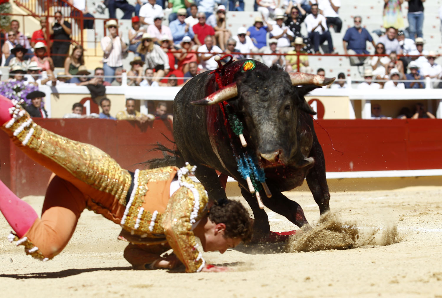 Bayona (Francia) - Novillada picada - Domingo 2 de septiembre de 2018