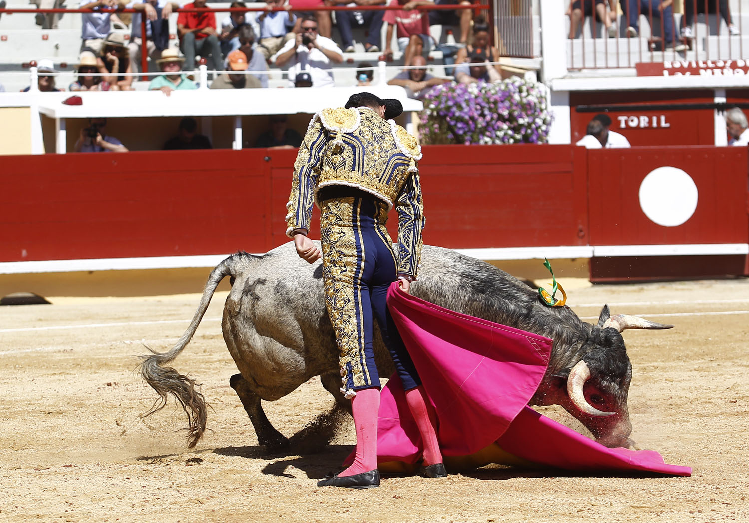 Bayona (Francia) - Novillada picada - Domingo 2 de septiembre de 2018