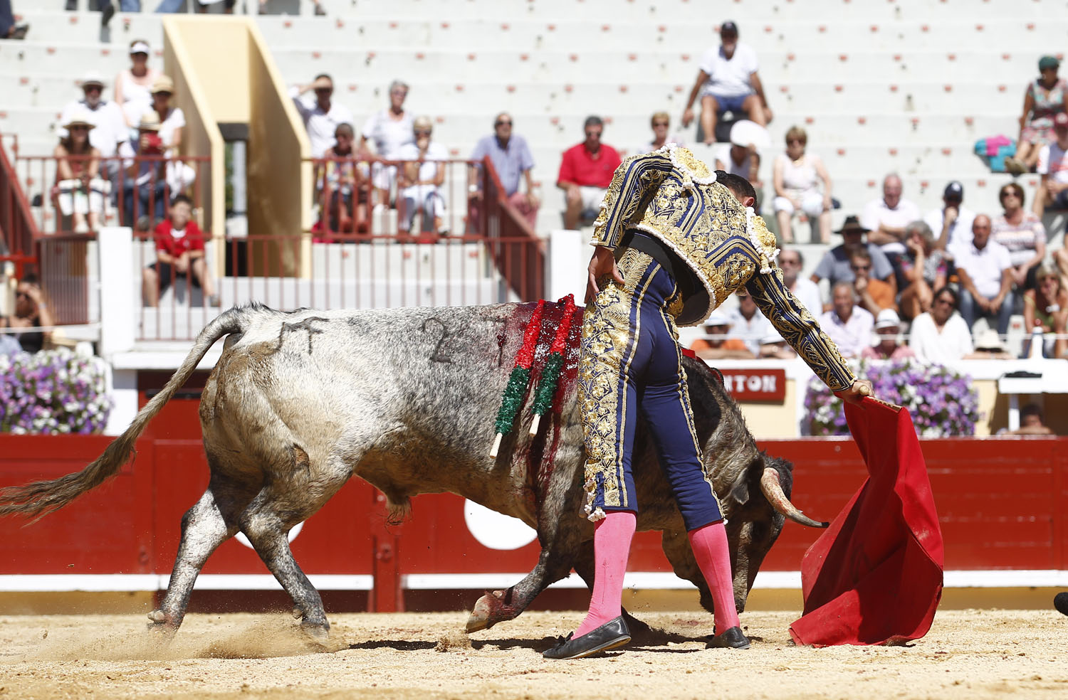 Bayona (Francia) - Novillada picada - Domingo 2 de septiembre de 2018