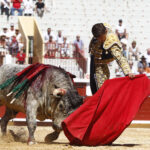 Bayona (Francia) - Novillada picada - Domingo 2 de septiembre de 2018