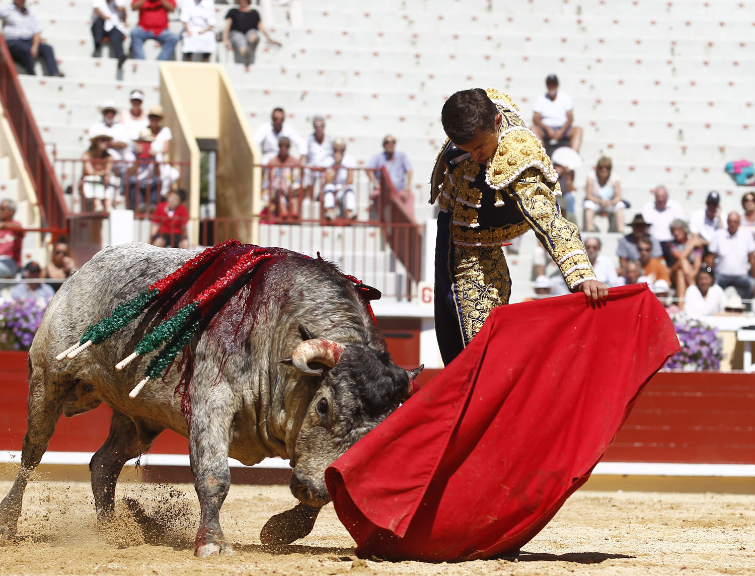 Bayona (Francia) - Novillada picada - Domingo 2 de septiembre de 2018