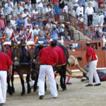 Bayona (Francia) - Corrida de toros - Domingo 2 de septiembre de 2018