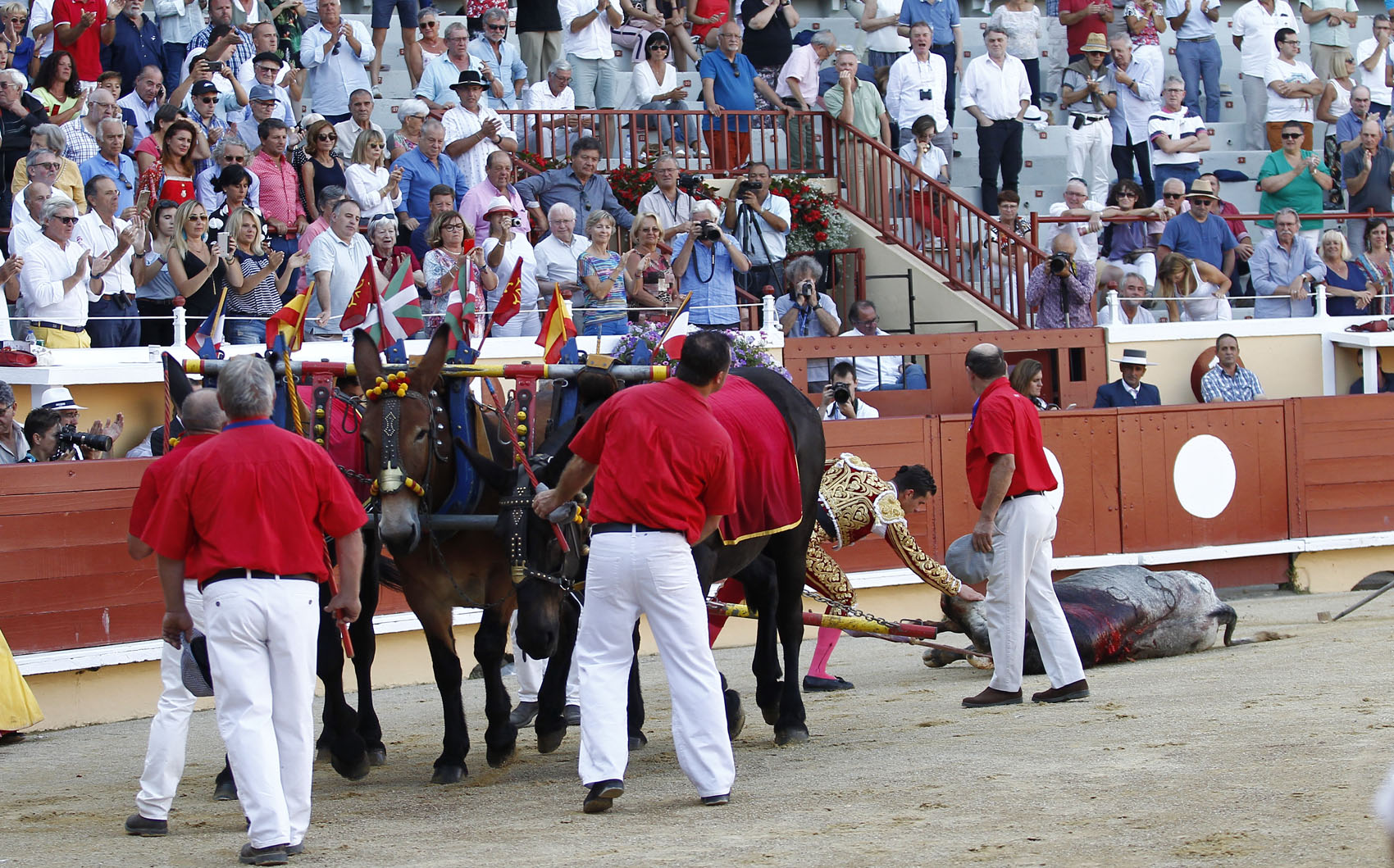 Bayona (Francia) - Corrida de toros - Domingo 2 de septiembre de 2018