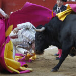 Bayona (Francia) - Corrida de toros - Domingo 2 de septiembre de 2018