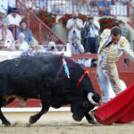 Bayona (Francia) - Corrida de toros - Domingo 2 de septiembre de 2018