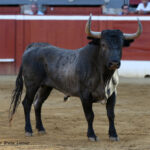 Mont de Marsan, 22 de septiembre de 2018