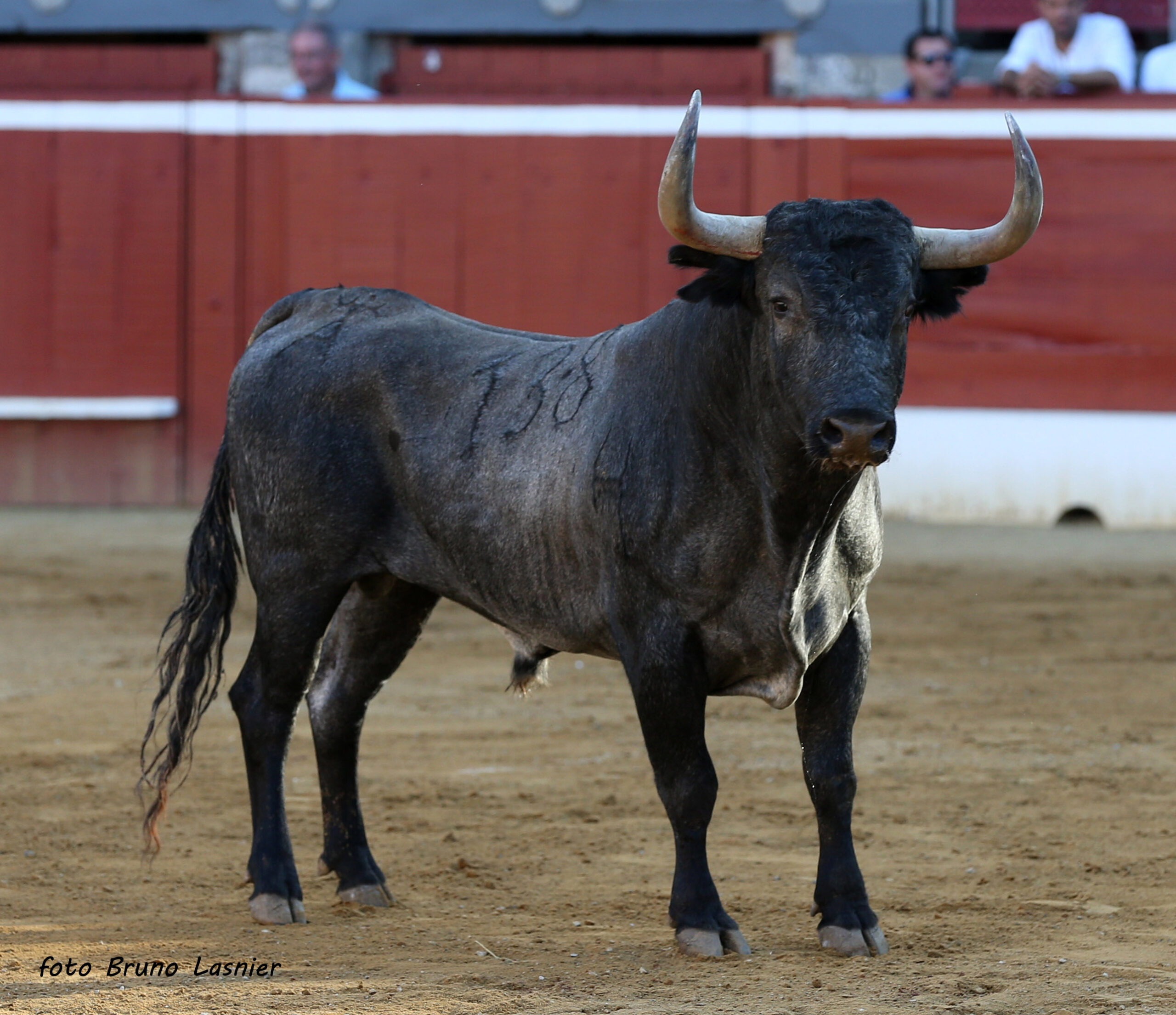 Mont de Marsan, 22 de septiembre de 2018