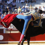 Cogida de Joubert en Rayona