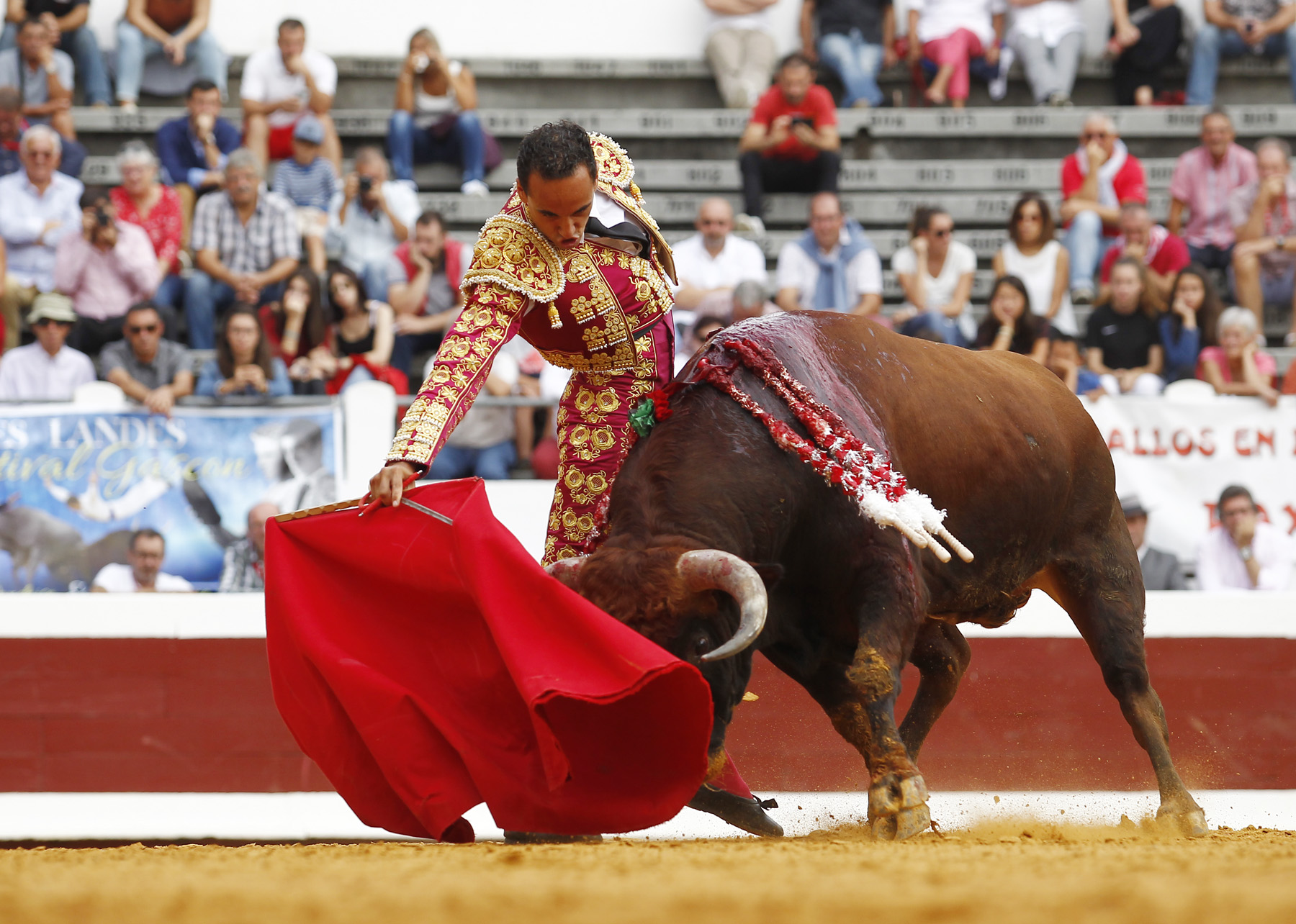 Dax (Francia) - Novillada picada - Matinal - Domingo 9 de septiembre de 2018