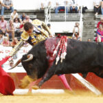 Dax (Francia) - Novillada picada - Matinal - Domingo 9 de septiembre de 2018