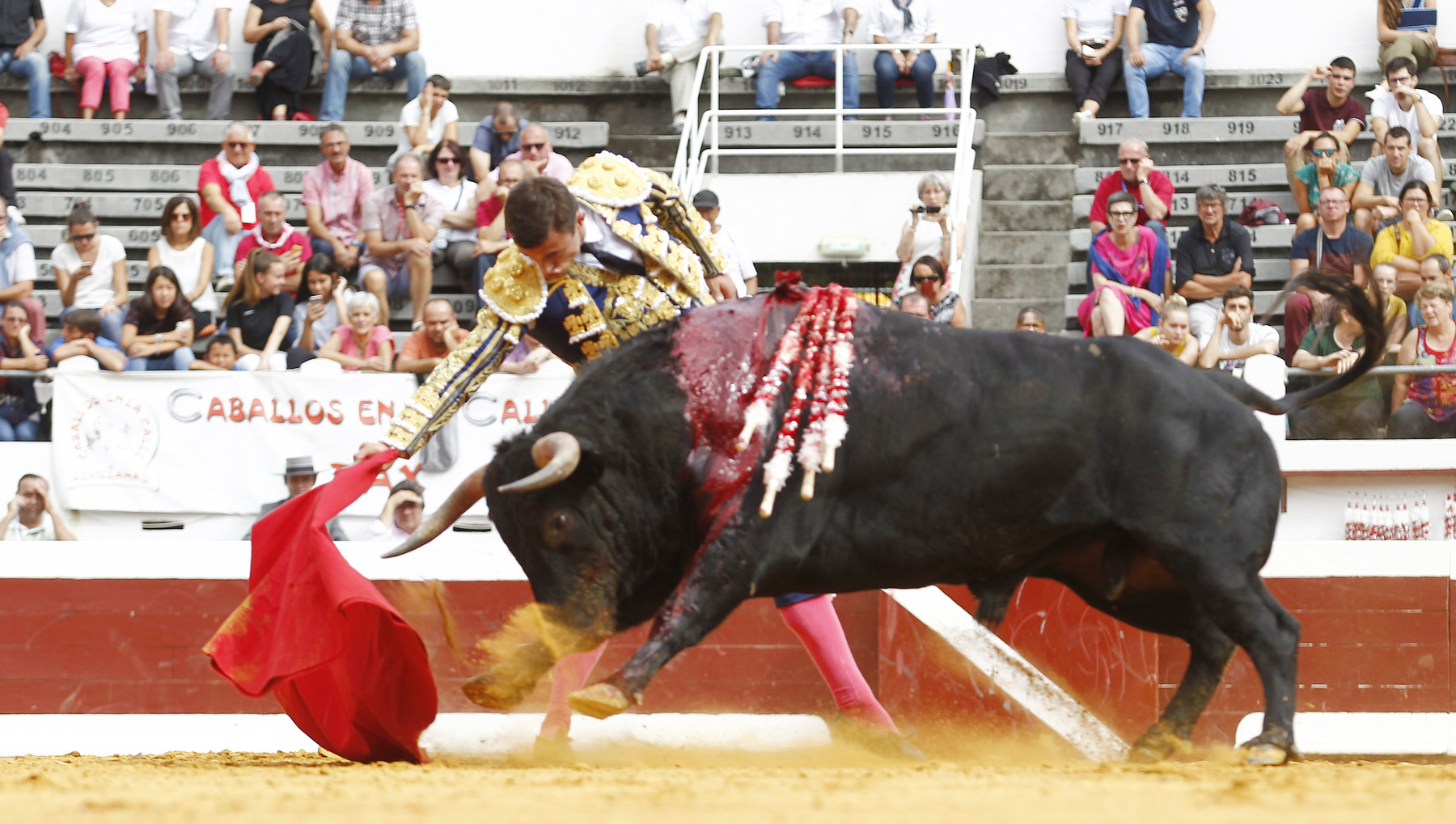 Dax (Francia) - Novillada picada - Matinal - Domingo 9 de septiembre de 2018