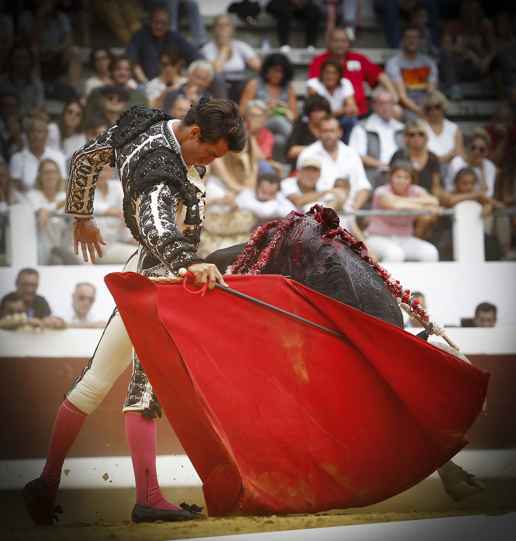 Dax (Francia) - Novillada picada - Matinal - Domingo 9 de septiembre de 2018