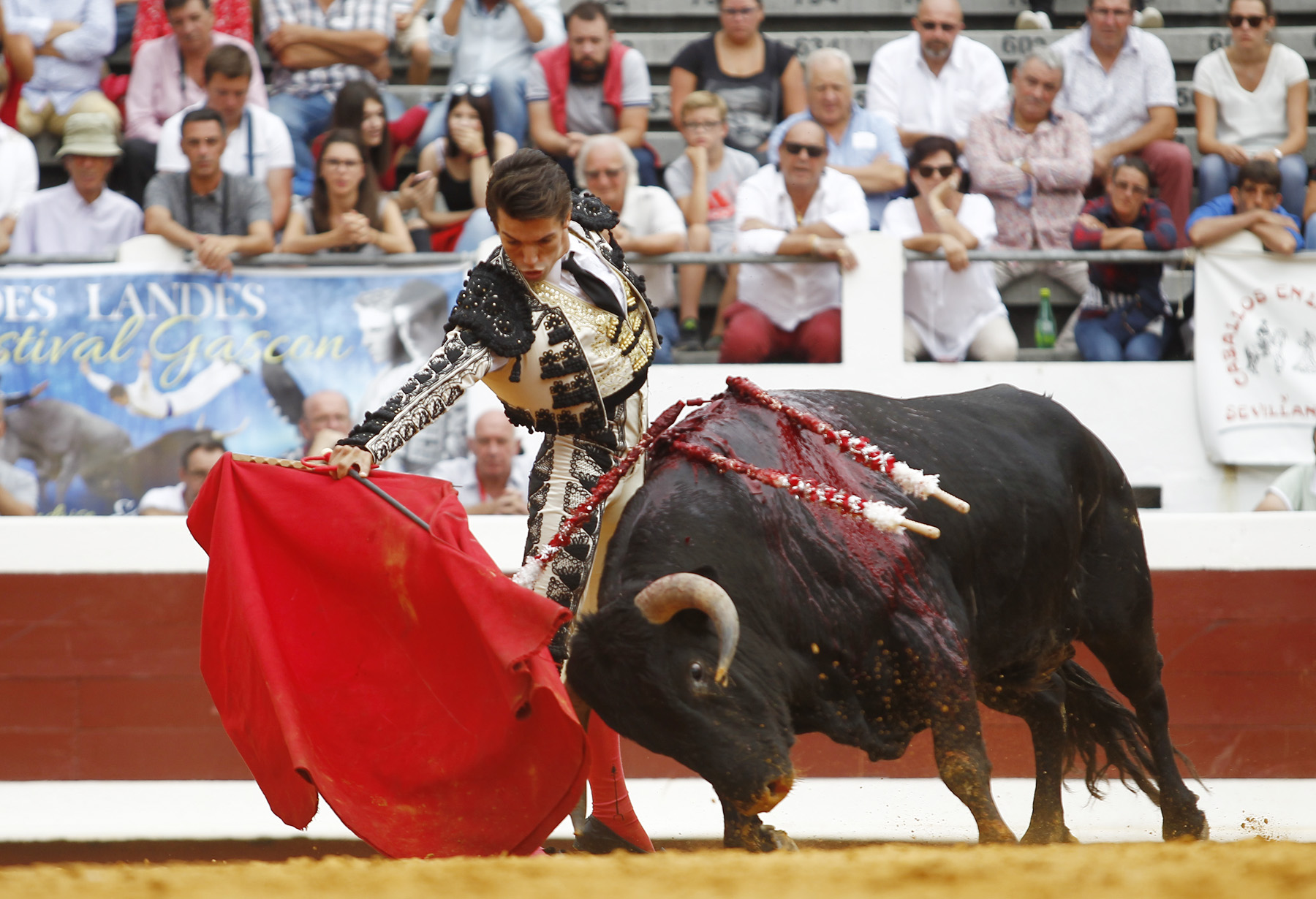 Dax (Francia) - Novillada picada - Matinal - Domingo 9 de septiembre de 2018