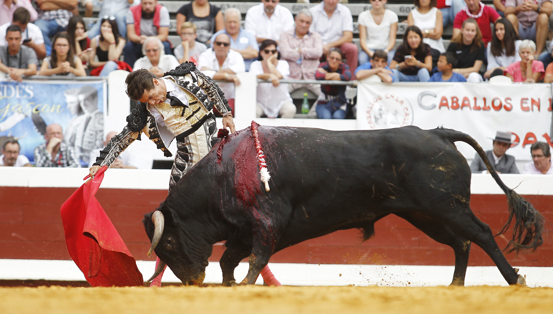 Dax (Francia) - Novillada picada - Matinal - Domingo 9 de septiembre de 2018