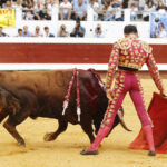 Dax (Francia) - Novillada picada - Matinal - Domingo 9 de septiembre de 2018