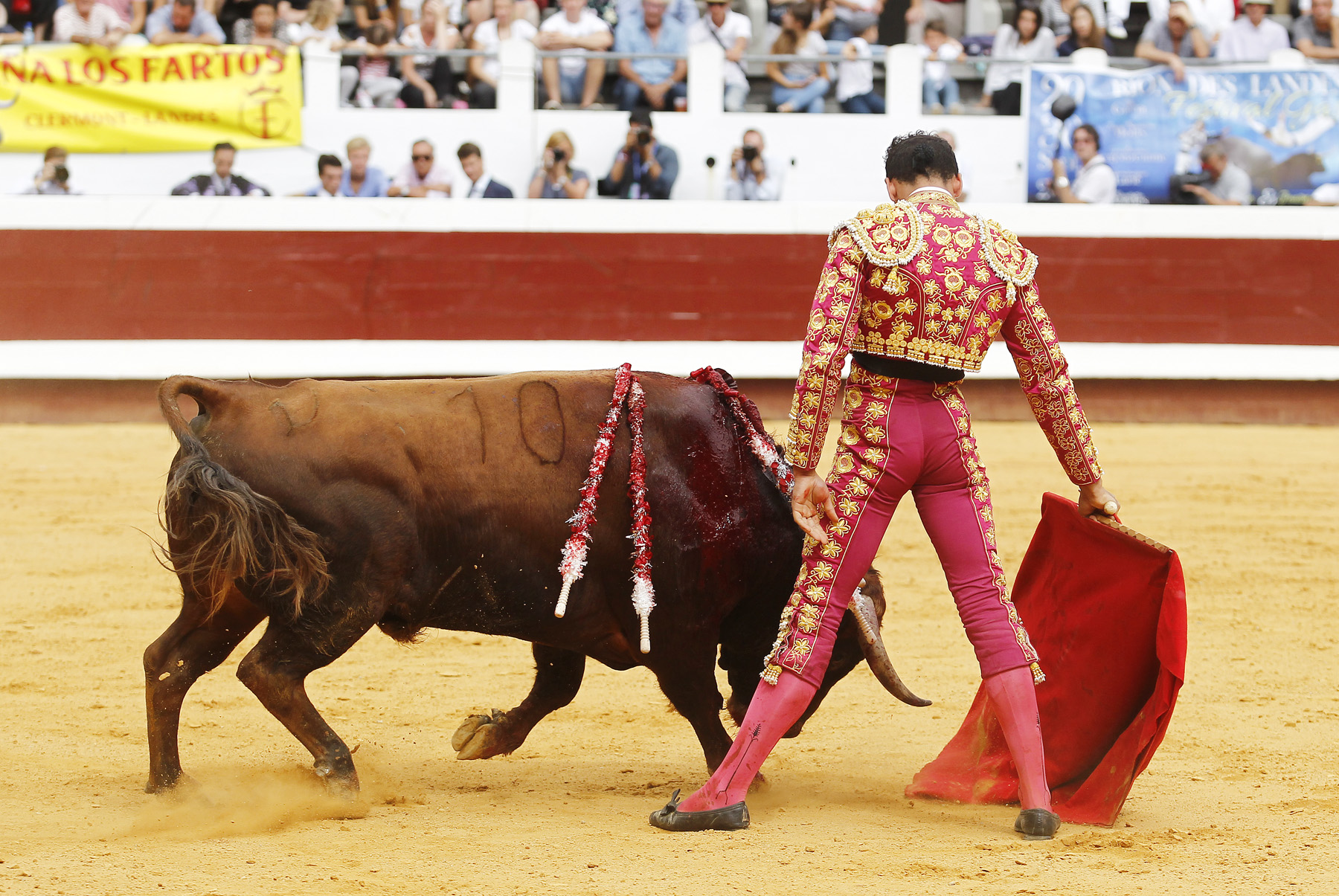 Dax (Francia) - Novillada picada - Matinal - Domingo 9 de septiembre de 2018