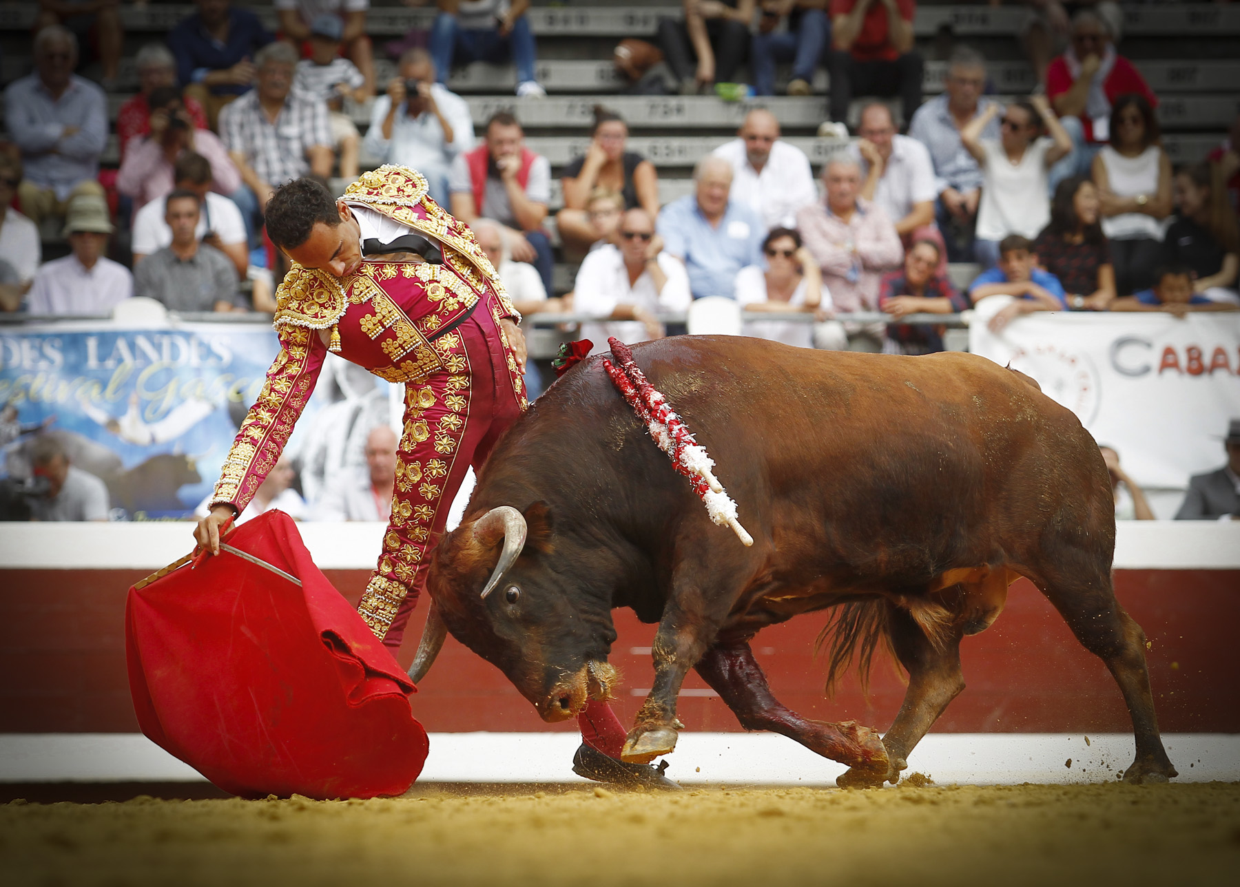 Dax (Francia) - Novillada picada - Matinal - Domingo 9 de septiembre de 2018