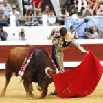 Dax (Francia) - Novillada picada - Matinal - Domingo 9 de septiembre de 2018