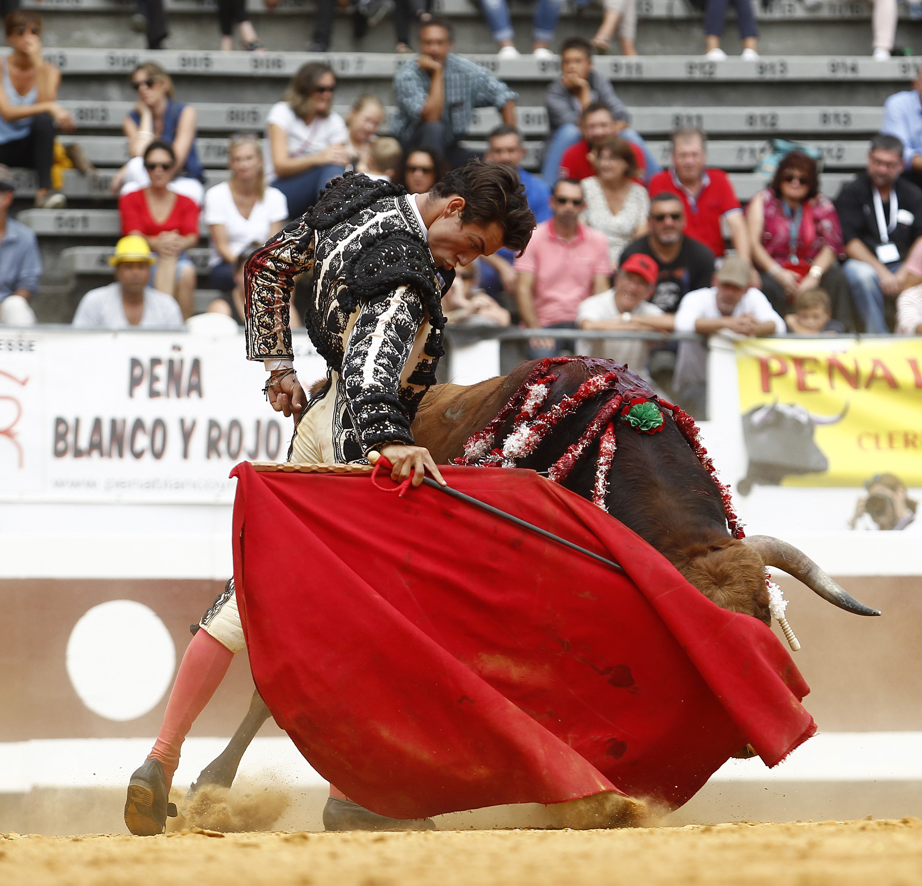 Dax (Francia) - Novillada picada - Matinal - Domingo 9 de septiembre de 2018