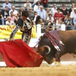 Dax (Francia) - Novillada picada - Matinal - Domingo 9 de septiembre de 2018