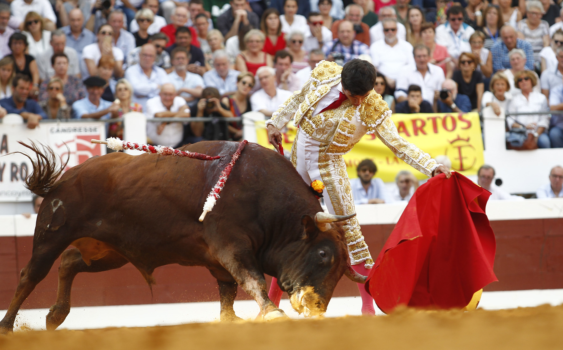 Dax (Francia) - Corrida de toros - Domingo 9 de septiembre de 2018