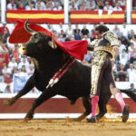 Dax (Francia) - Corrida de toros - Domingo 9 de septiembre de 2018