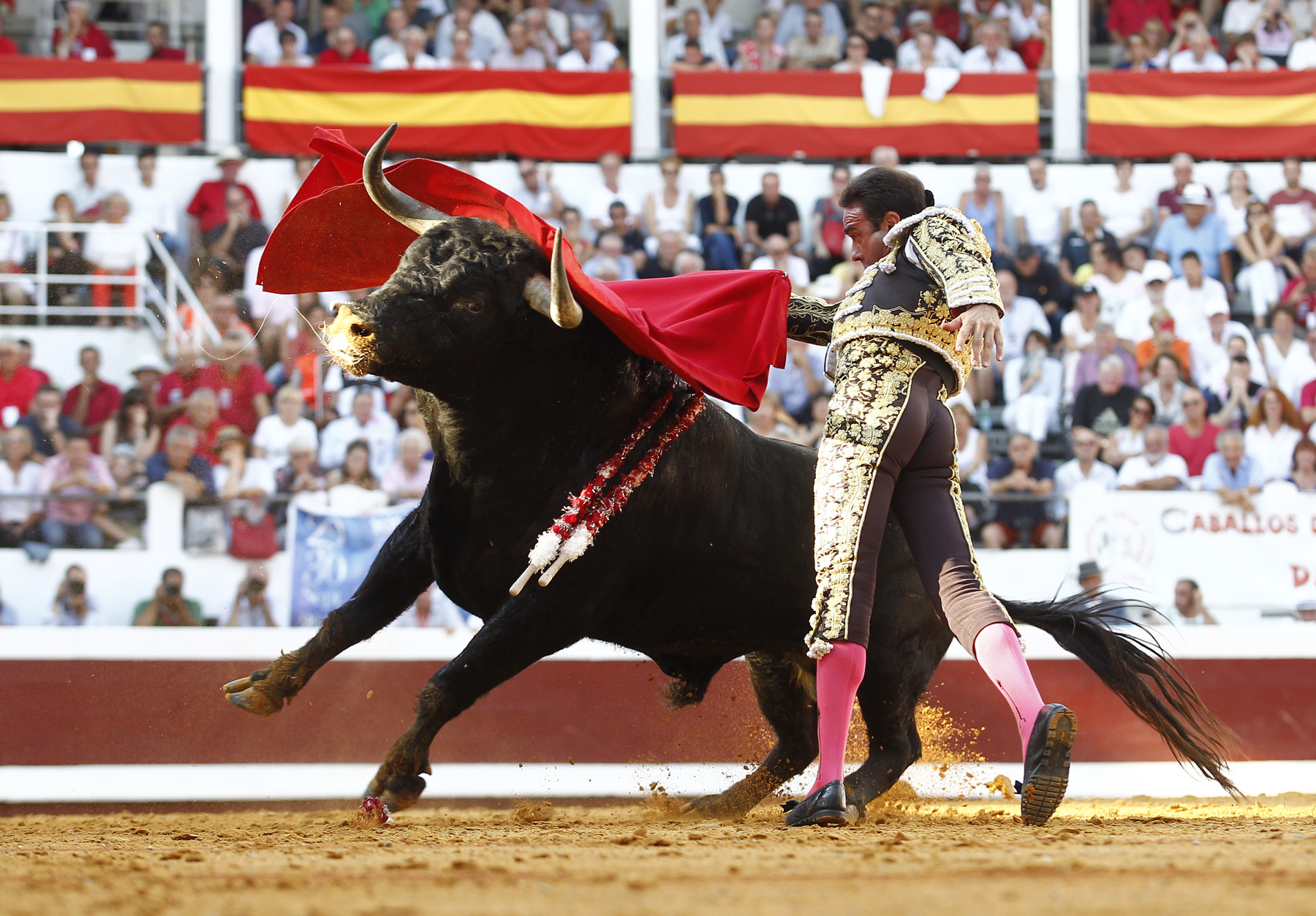 Dax (Francia) - Corrida de toros - Domingo 9 de septiembre de 2018