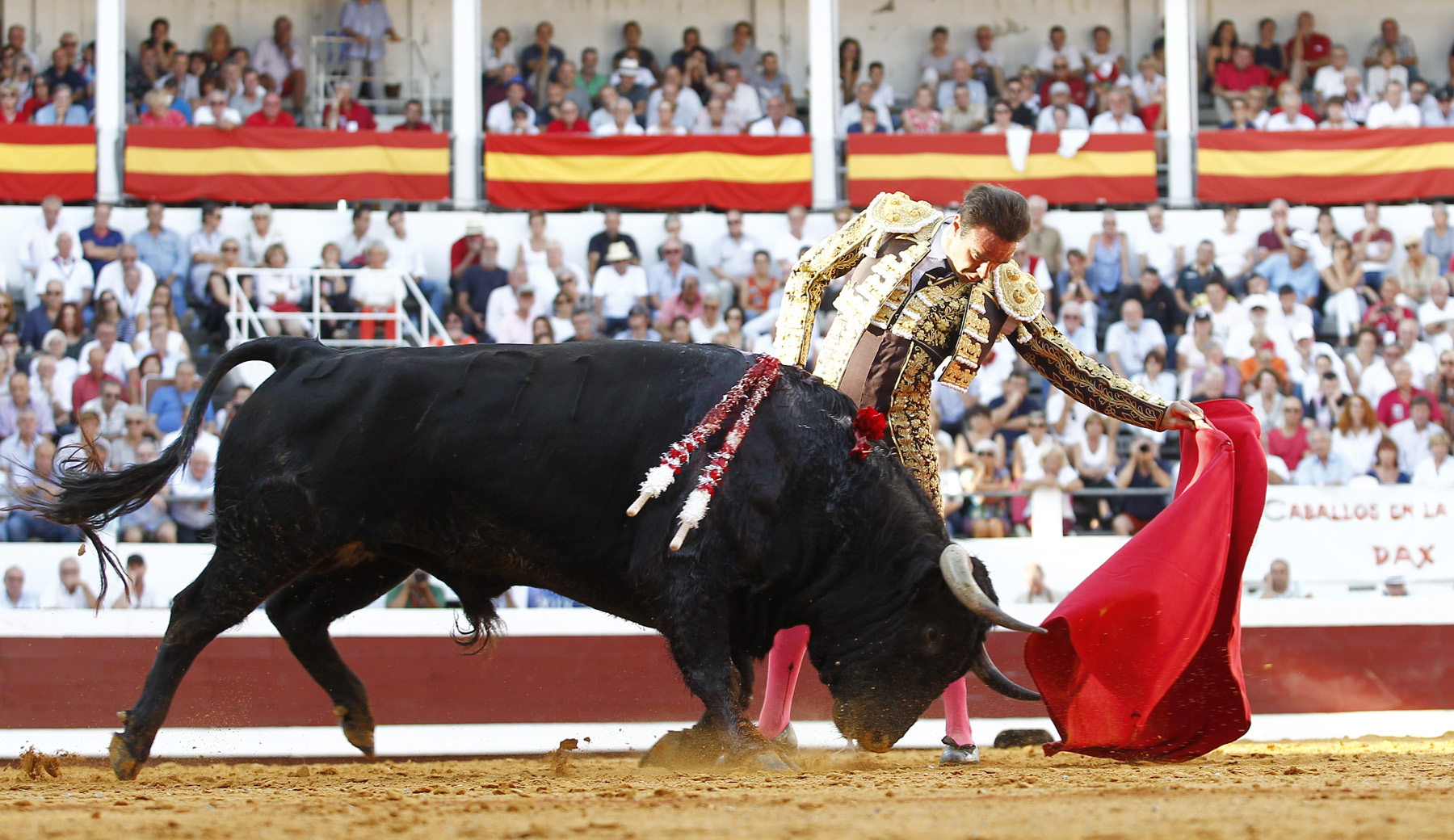 Dax (Francia) - Corrida de toros - Domingo 9 de septiembre de 2018