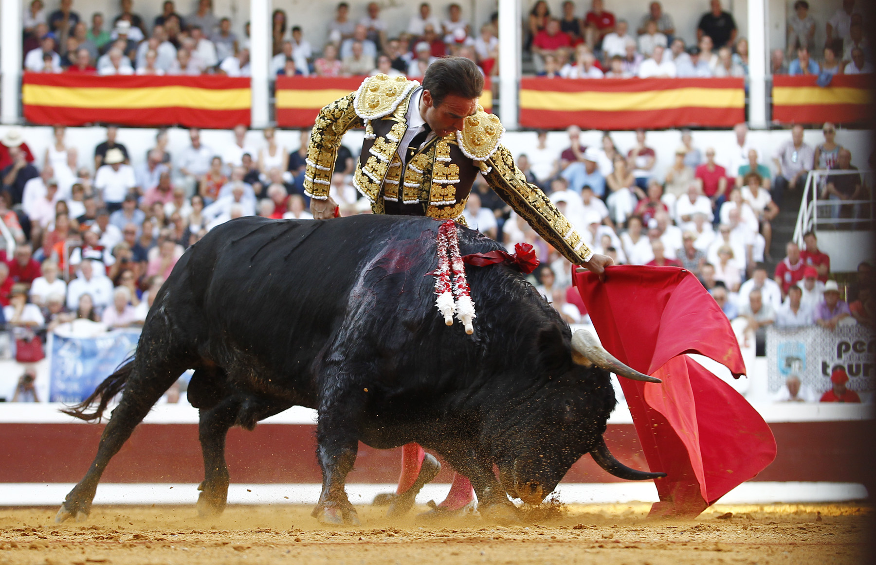 Dax (Francia) - Corrida de toros - Domingo 9 de septiembre de 2018