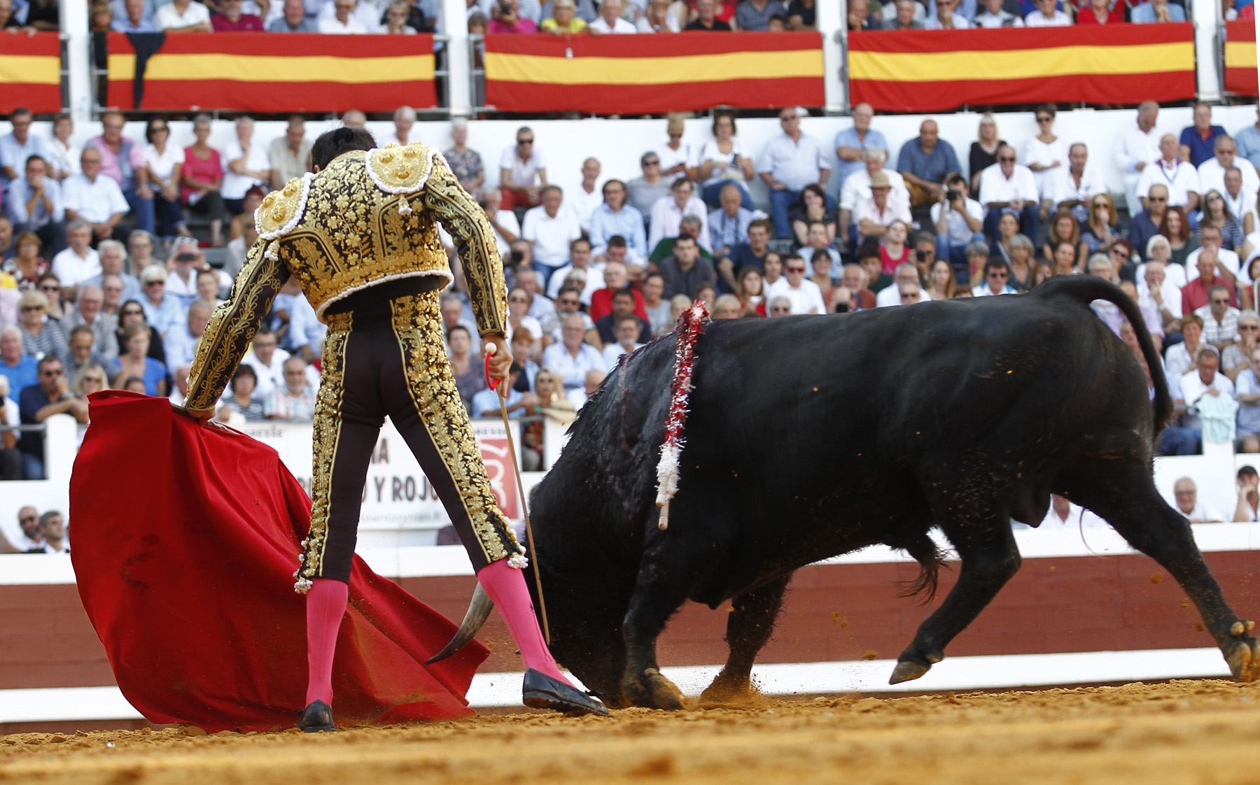 Dax (Francia) - Corrida de toros - Domingo 9 de septiembre de 2018