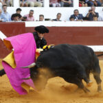 Dax (Francia) - Corrida de toros - Domingo 9 de septiembre de 2018