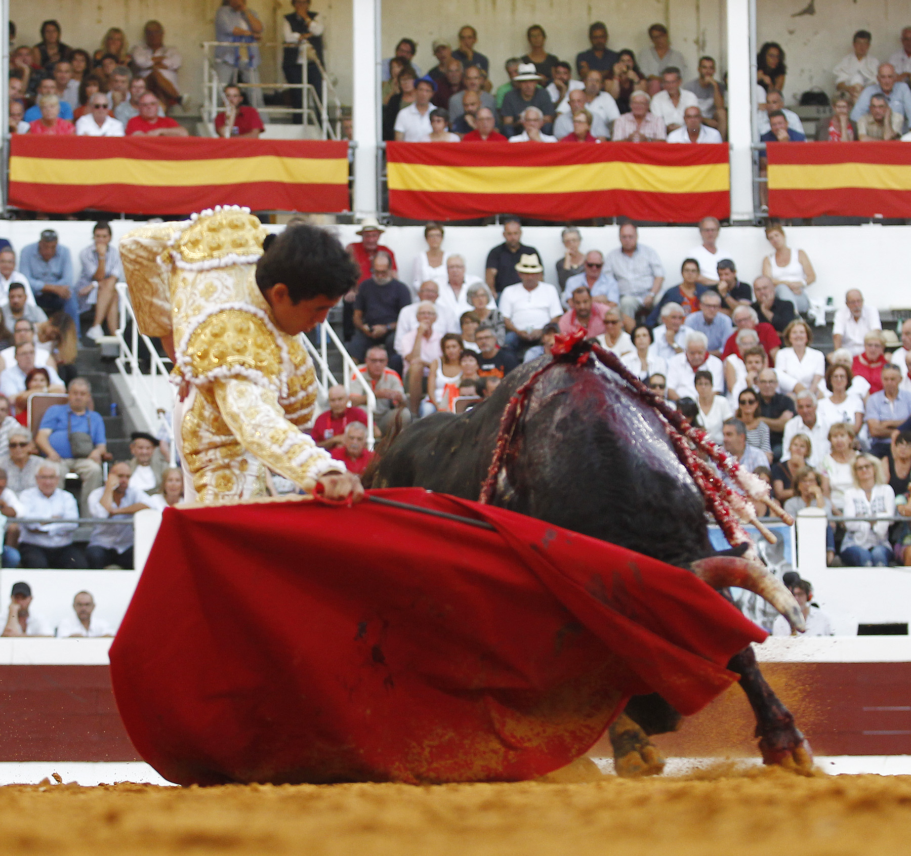 Dax (Francia) - Corrida de toros - Domingo 9 de septiembre de 2018