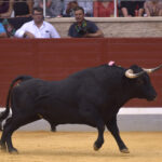 Villaseca de la Sagra (Toledo), viernes 7 de septiembre de 2018