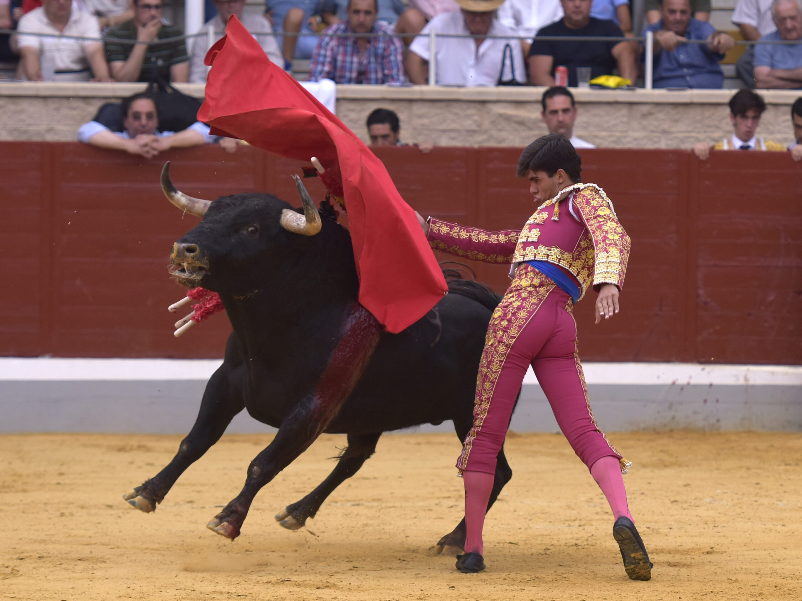 Villaseca de la Sagra (Toledo), viernes 7 de septiembre de 2018