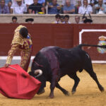 Villaseca de la Sagra (Toledo), viernes 7 de septiembre de 2018