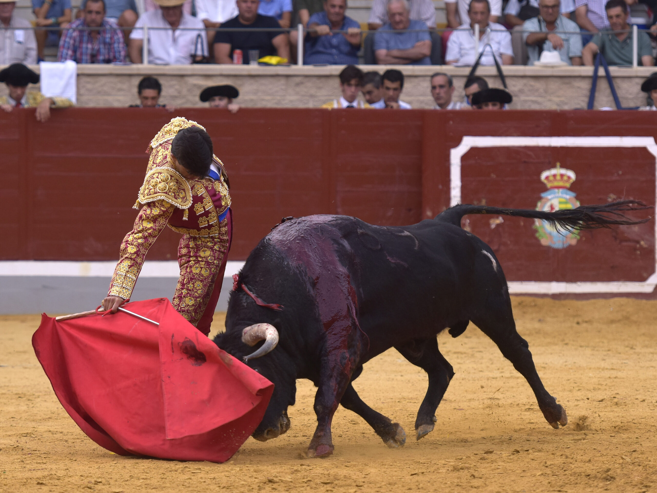 Villaseca de la Sagra (Toledo), viernes 7 de septiembre de 2018