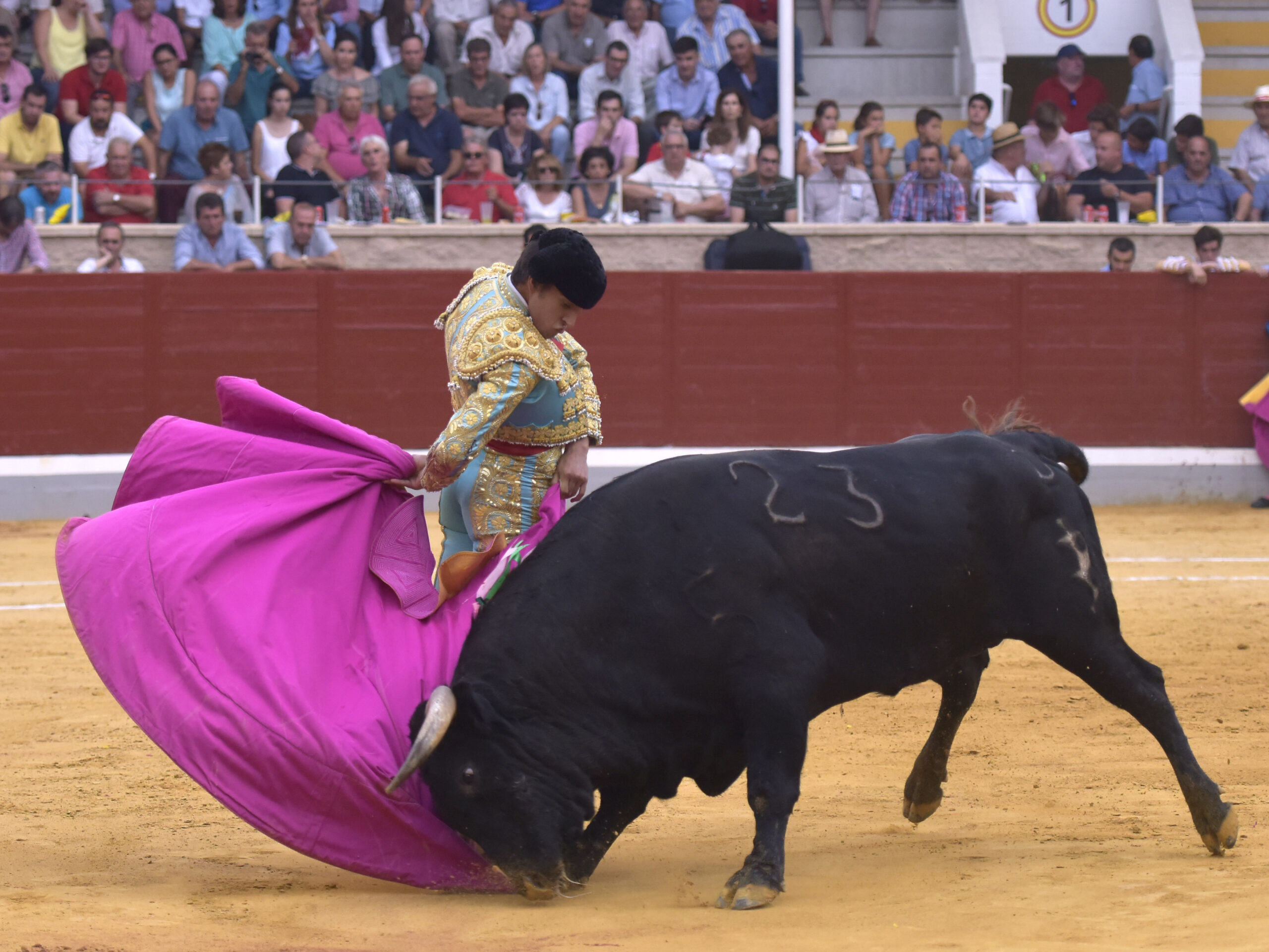 Villaseca de la Sagra (Toledo), viernes 7 de septiembre de 2018