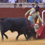 Villaseca de la Sagra (Toledo), viernes 7 de septiembre de 2018
