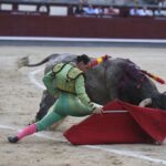 Madrid- Novillada picada - Domingo 3 de septiembre de 2018