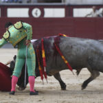 Madrid- Novillada picada - Domingo 3 de septiembre de 2018