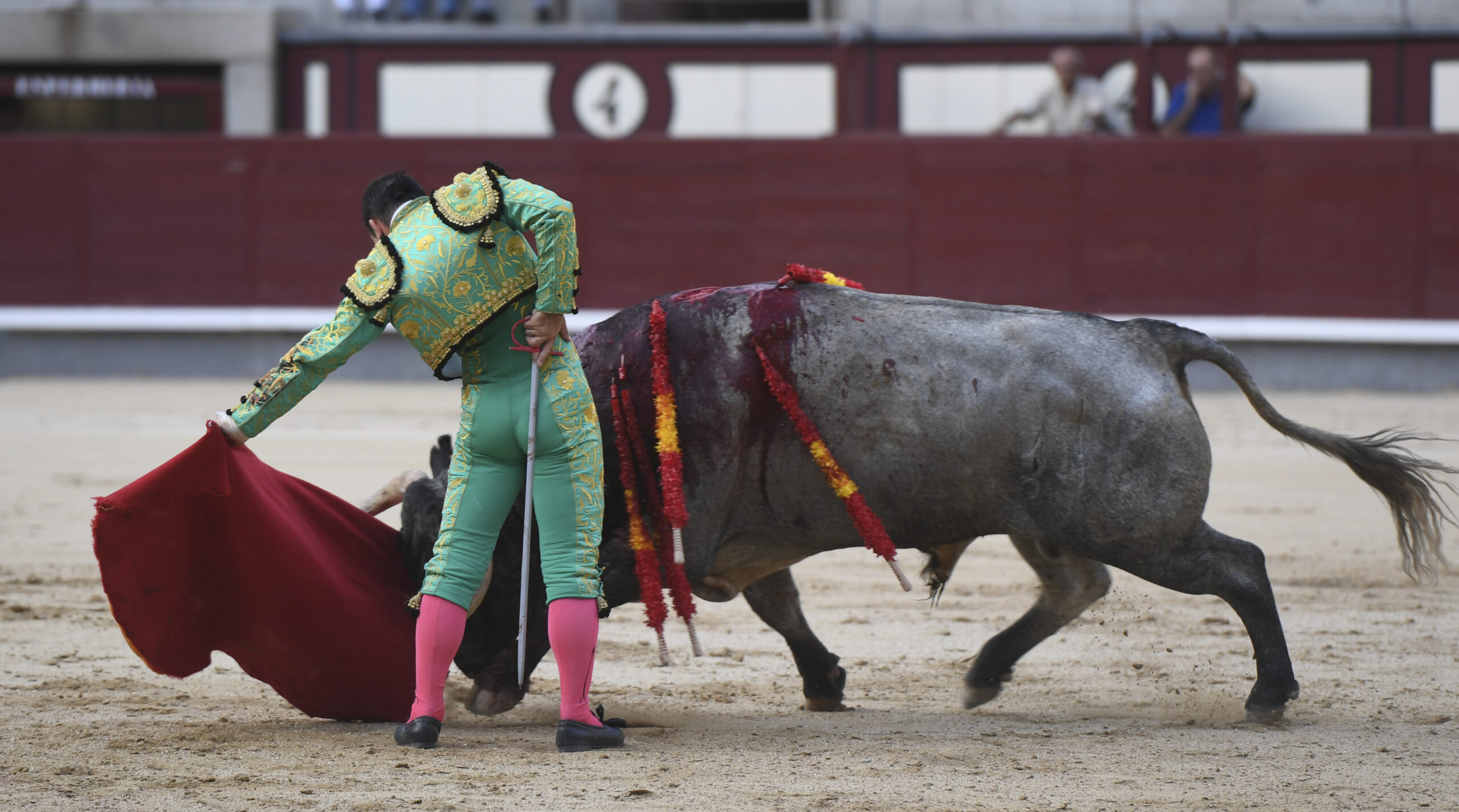 Madrid- Novillada picada - Domingo 3 de septiembre de 2018
