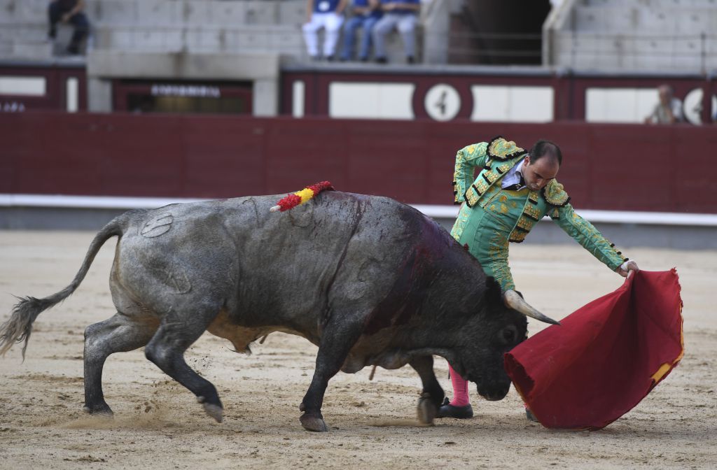 Madrid- Novillada picada - Domingo 3 de septiembre de 2018