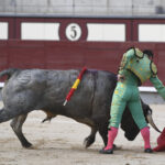 Madrid- Novillada picada - Domingo 3 de septiembre de 2018