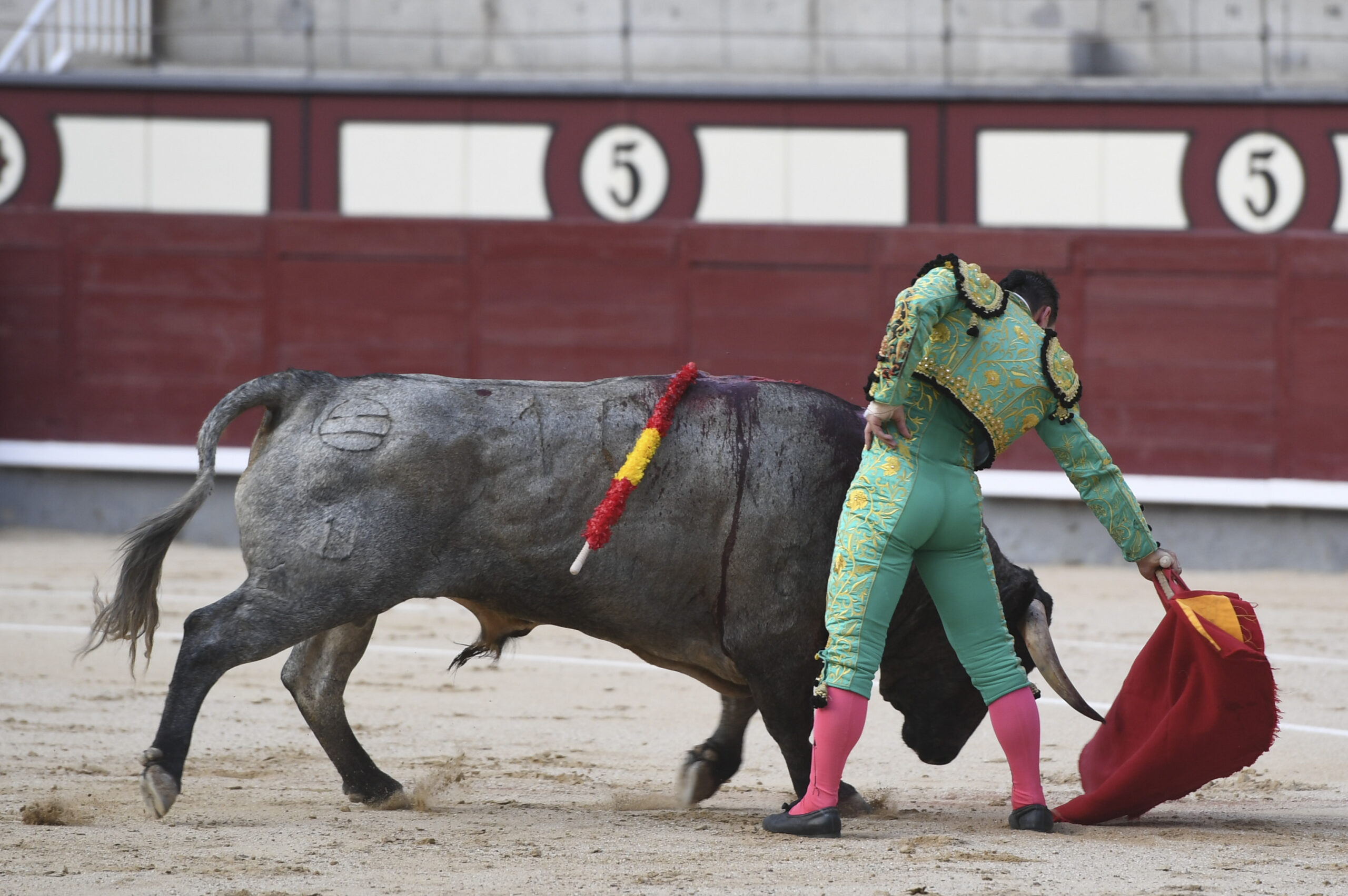 Madrid- Novillada picada - Domingo 3 de septiembre de 2018
