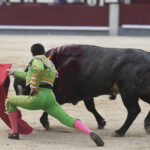 Madrid- Novillada picada - Domingo 3 de septiembre de 2018