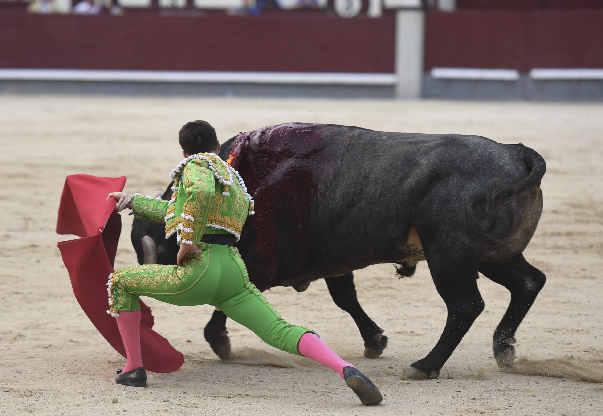 Madrid- Novillada picada - Domingo 3 de septiembre de 2018