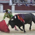 Madrid- Novillada picada - Domingo 3 de septiembre de 2018